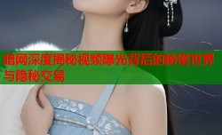 暗网深度揭秘视频曝光背后的秘密世界与隐秘交易