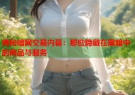 揭秘暗网交易内幕：那些隐藏在黑暗中的商品与服务