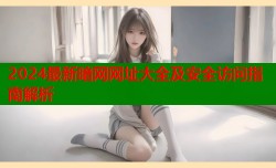 2024最新暗网网址大全及安全访问指南解析
