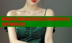 暗网禁区揭秘免费资源全攻略助你安全探索网络深处