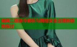 暗网二级禁令解析与网络安全治理新趋势探讨