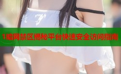 1暗网禁区揭秘平台快速安全访问指南