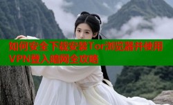 如何安全下载安装Tor浏览器并使用VPN登入暗网全攻略