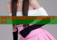暗网下载技术解析与安全风险防范全景探讨