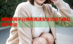 暗隐禁网平台揭秘高速安全访问与隐私保护秘诀