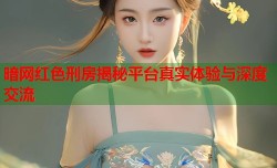 暗网红色刑房揭秘平台真实体验与深度交流