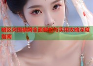 暗区突围禁网全面解析与实用攻略深度指南