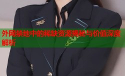 外网禁地中的稀缺资源揭秘与价值深度解析