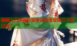 暗网入口详解及安全访问全攻略三十字以内