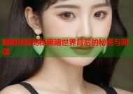 暗网迷踪揭秘黑暗世界背后的秘密与阴谋