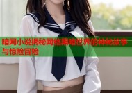 暗网小说揭秘网络黑暗世界的神秘故事与惊险冒险
