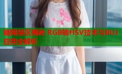 暗网禁区揭秘 RGB转HSV技术与BUJ应用全解析