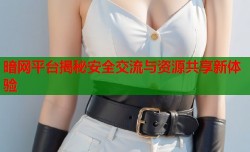 暗网平台揭秘安全交流与资源共享新体验