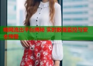 暗网流出平台揭秘 实时数据监控与安全预警