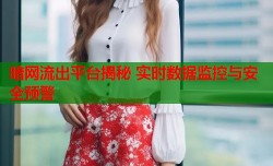 暗网流出平台揭秘 实时数据监控与安全预警