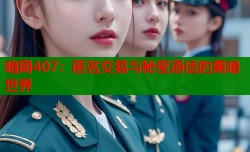 暗网407：匿名交易与秘密通信的黑暗世界