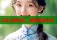 解密暗网秘密，揭开隐藏世界