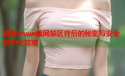 揭秘www暗网禁区背后的秘密与安全防护全攻略
