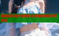暗网禁区海外版揭秘全球隐秘网络世界真相