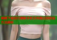 暗网下载技巧揭秘手机文件跳过回收站方法解析