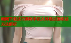 暗网下载技巧揭秘手机文件跳过回收站方法解析
