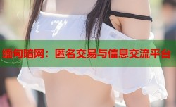 缅甸暗网：匿名交易与信息交流平台