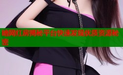 暗网红房揭秘平台快速发现优质资源秘密