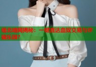 缅北暗网揭秘：一键直达血奴交易与诈骗乐园？