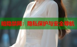 暗隐禁网：隐私保护与安全导航