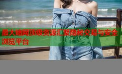 最大暗网顶级资源汇聚隐秘交易与安全浏览平台