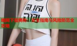暗网下载揭秘：安全指南与风险防范全攻略