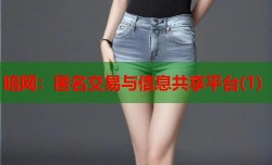 暗网：匿名交易与信息共享平台(1)