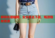 解锁名朋暗网：安全匿名下载，畅游隐秘资源