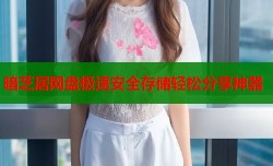 暗芝居网盘极速安全存储轻松分享神器