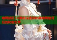 暗网禁区1.6揭秘深度探秘黑暗网络背后的秘密世界