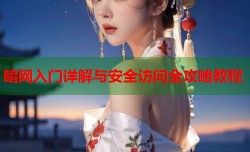 暗网入门详解与安全访问全攻略教程