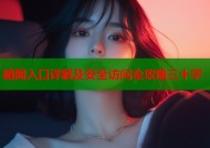 暗网入口详解及安全访问全攻略三十字