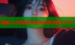 暗网入口详解及安全访问全攻略三十字