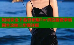如何安全下载并使用Tor浏览器登录暗网全攻略三步骤详解