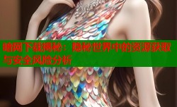 暗网下载揭秘：隐秘世界中的资源获取与安全风险分析