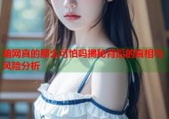 暗网真的那么可怕吗揭秘背后的真相与风险分析