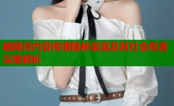 暗网待内容传播隐秘渠道及其社会危害深度解析