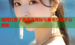 暗网红房子直播秀揭秘与黑市交易平台揭秘