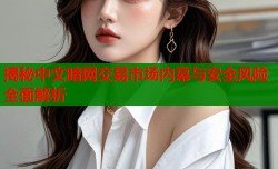 揭秘中文暗网交易市场内幕与安全风险全面解析