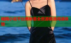 暗网小说平台揭秘最全资源极速阅读体验