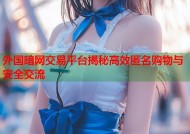 外国暗网交易平台揭秘高效匿名购物与安全交流