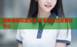 缅甸暗网深度探索 安全匿名交易首选平台