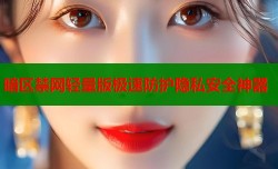 暗区禁网轻量版极速防护隐私安全神器