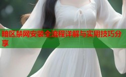 暗区禁网安装全流程详解与实用技巧分享
