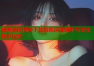 暗网禁区揭秘下载指南深度解析与安全防护技巧